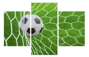 Slika nogometne lopte u mreži (90x60 cm)