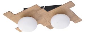 Rabalux 6918 - LED Stropna svjetiljka NORWOOD 2xLED/3W/230V