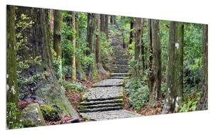 Slika kamenih stepenica u šumi (120x50 cm)