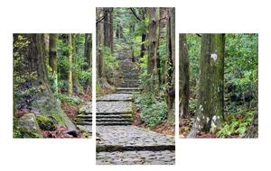Slika kamenih stepenica u šumi (90x60 cm)