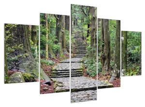 Slika kamenih stepenica u šumi (150x105 cm)