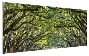 Slika drvoreda (120x50 cm)
