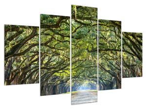 Slika drvoreda (150x105 cm)