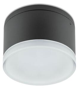 Redo 90107 - LED Vanjska stropna svjetiljka AKRON 1xLED/9W/230V IP54