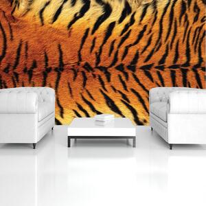 Foto tapeta - Uzorak tigra (152,5x104 cm)