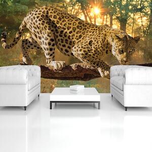Foto tapeta - Jaguar Forest Woods (152,5x104 cm)