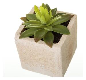 Umjetne biljke u setu 6 kom (visina 9,5 cm) Cactus – Casa Selección