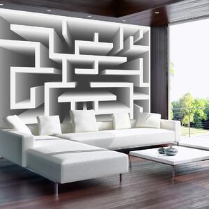 Foto tapeta - 3D labirint (152,5x104 cm)