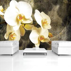 Foto tapeta - Orhideje (152,5x104 cm)
