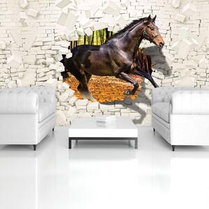 Foto tapeta - Konj je iskočio iz zida - 3D (152,5x104 cm)