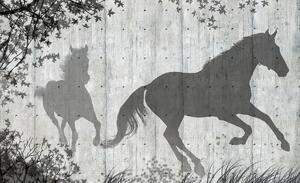 Foto tapeta - Sjene konja na sivom zidu (152,5x104 cm)