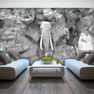 Foto tapeta - Slon uklesan u stijenama - siv (152,5x104 cm)