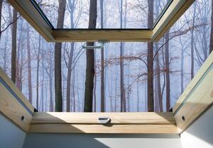 Foto tapeta - Pogled s prozora na maglovitu šumu (152,5x104 cm)