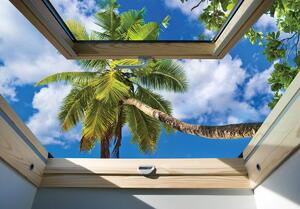 Foto tapeta - Pogled s prozora na palmu (152,5x104 cm)
