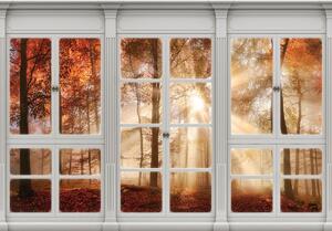 Foto tapeta - Pogled s prozora na jesensku šumu (152,5x104 cm)