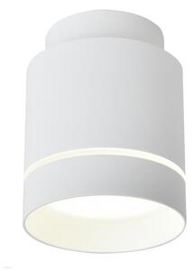 LED Stropna svjetiljka TUBA LED/12W/230V