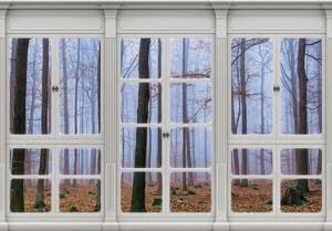 Foto tapeta - Pogled s prozora obavijen maglom (152,5x104 cm)