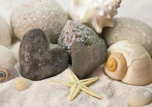 Foto tapeta - Kamenje i školjke na plaži (152,5x104 cm)