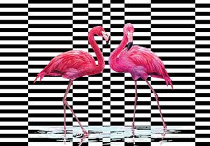 Foto tapeta - Flamingo 3D (152,5x104 cm)