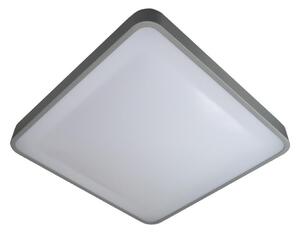 LED Stropna svjetiljka WILTON LED/24W/230V siva