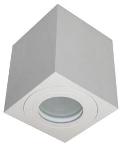 Vanjska reflektorska svjetiljka SARA 1xGU10/30W/230V IP54 bijela