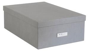 Set od 3 sive kutije za pohranu Bigso Box of Sweden Inge