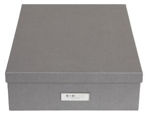 Siva kutija za odlaganje s 12 pretinaca Bigso Box of Sweden Jakob, 31 x 43 cm
