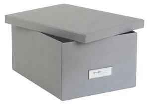 Set od 3 sive kutije za pohranu Bigso Box of Sweden Inge