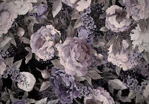 Foto tapeta - Cvjetovi božura (152,5x104 cm)