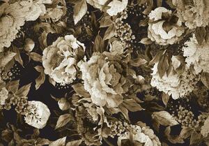 Foto tapeta - Cvjetovi božura (152,5x104 cm)