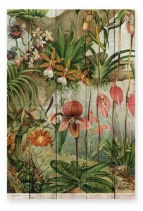 Zidni ukras od borovog drveta Madre Selva Jungle Flowers, 60 x 40 cm