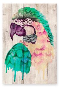 Zidna dekoracija od borovog Madre Selva Watercolor Parrot, 60 x 40 cm