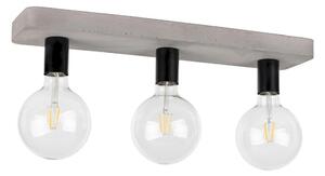 Spot-Light 8254336 - Stropna svjetiljka FORTAN 3xE27/60W/230V