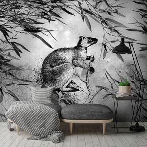 Foto tapeta - Crno-bijeli klokan (152,5x104 cm)