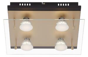 Briloner 3589-045 - LED Stropna svjetiljka 4xGU10/4W/230V