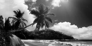 Slika prekrasna plaža na otoku Šejšeli u crno-bijelom dizajnu