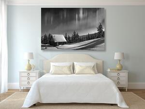 Slika bajkoviti zimski krajolik u crno-bijelom dizajnu