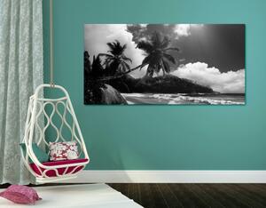 Slika prekrasna plaža na otoku Šejšeli u crno-bijelom dizajnu