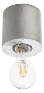 Stropna svjetiljka SALGADO 1xE27/60W/230V beton