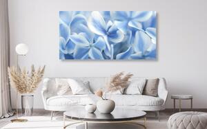 Slika plavo-bijelo cvijeće hortenzije