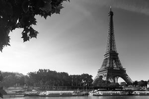 Slika Pariz u jesen u crno-bijelom dizajnu