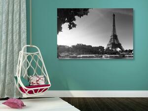 Slika Pariz u jesen u crno-bijelom dizajnu