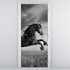 Foto tapeta za vrata - Konj (95x205cm)