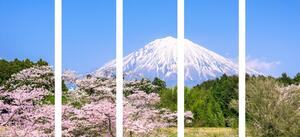 5-dijelna slika vulkan Fuji