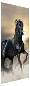 Foto tapeta za vrata - Crni konj (95x205cm)