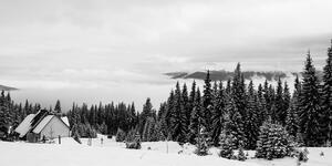 Slika mala vikendica u snježnom krajoliku u crno-bijelom dizajnu