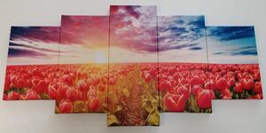 5-dijelna slika izlazak sunca iznad livade s tulipanima