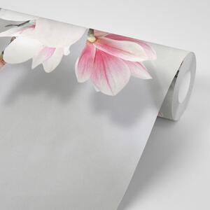 Tapeta bijela magnolija - 150x100