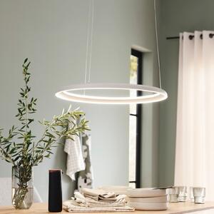 Schöner Wohnen LED viseća svjetiljka QUILLO, bež, Ø 60 cm, metal, s prigušivačem, prigušiva, Bež, Dnevni boravak/blagovaonica, Aluminij