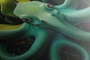 Slika nadrealistička hobotnica